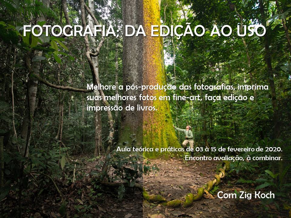 FOTOGRAFIA; DA EDIÇÃO AO USO